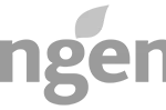 logotipo syngenta